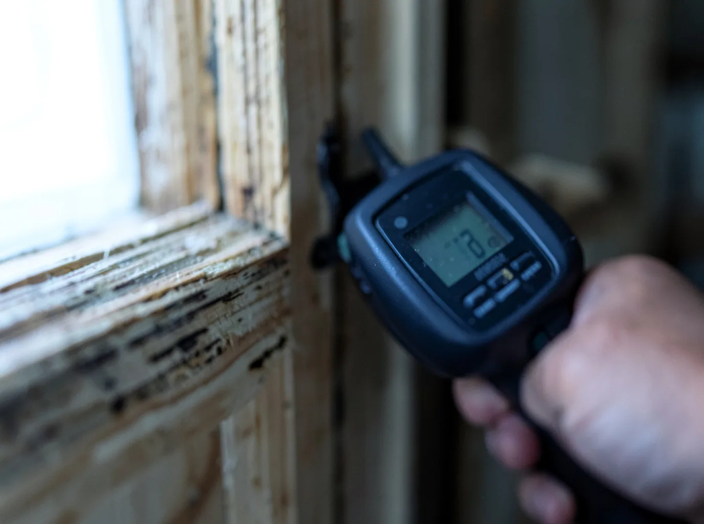 Moisture Inspection And Documentation in Southview, PA